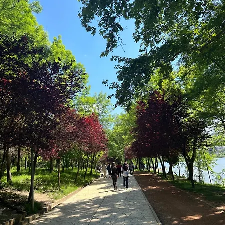 Tirana Residence Casa de hóspedes