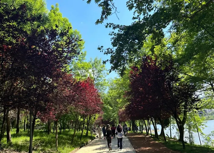 Tirana Residence Pensión